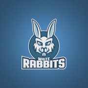 rabbit logo mascot